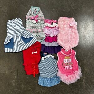 Lot of 7 girl dog outfits